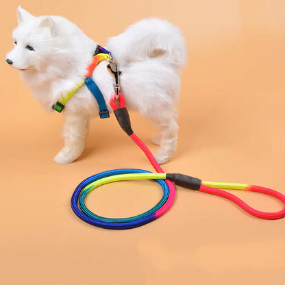 Colorful Nylon Round Hand Holding Dog Rope Pets Supplies