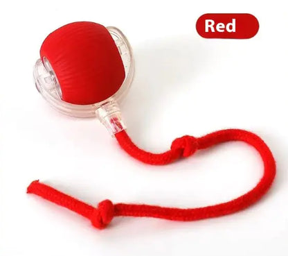 Speedy Tail Pet Toy Ball