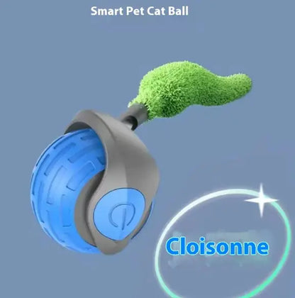 Speedy Tail Pet Toy Ball