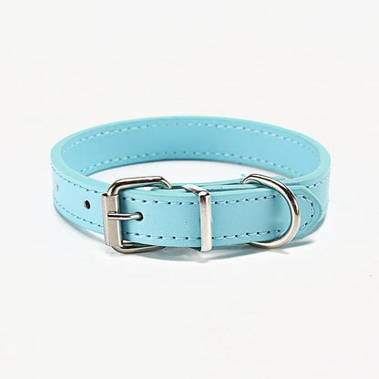 Paws & Whiskers Collar