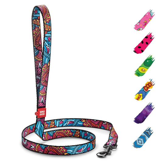 Nylon Dog Leash for Medium and Large Dogs 4 Ft x 1 inch Wide Summer Color