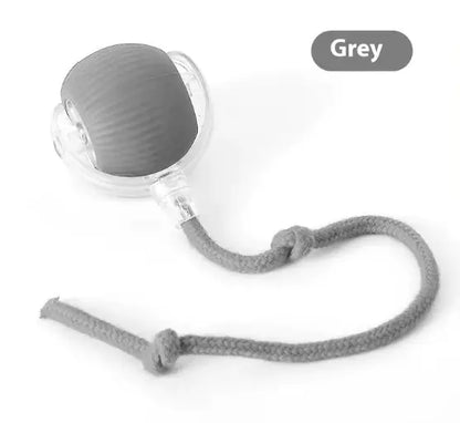 Speedy Tail Pet Toy Ball