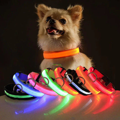 LED Adjustable Dog Collar Blinking Flashing Light Up Glow Pets Safety Waterproof