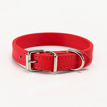 Paws & Whiskers Collar